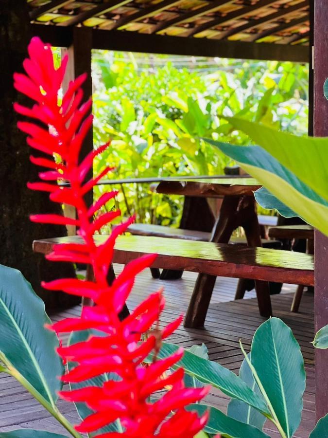 A Casa Do Sol Apartment Barra Grande  Exterior photo